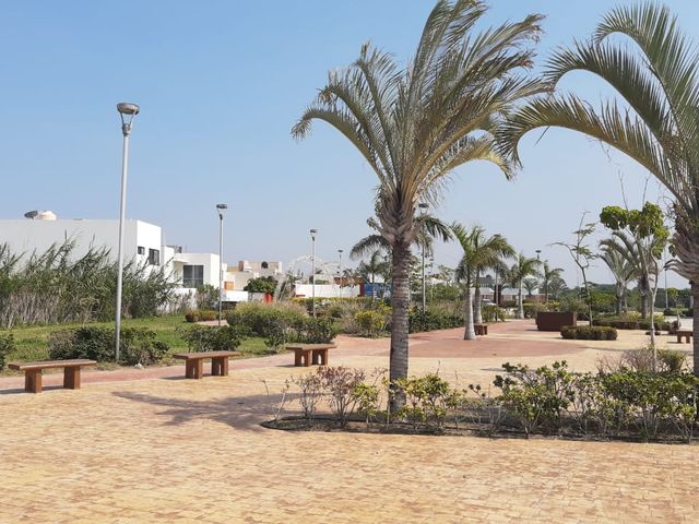 place photo 31
