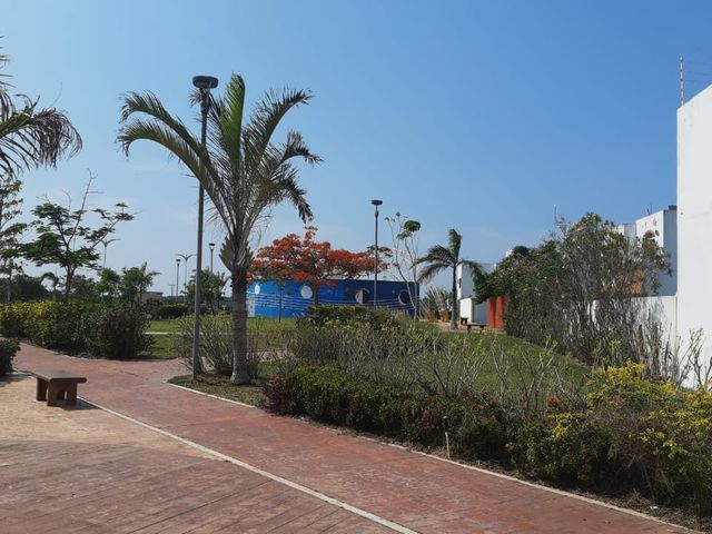 place photo 21