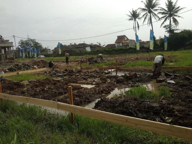 place photo 12
