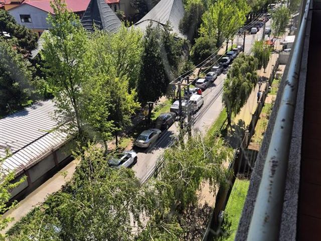 place photo 17
