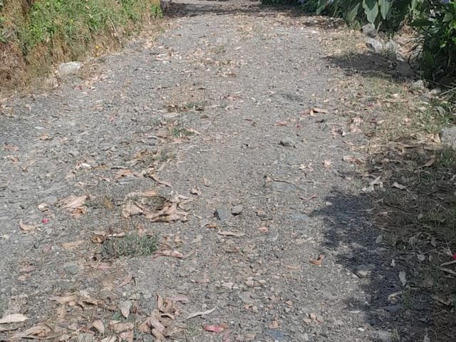 place photo 18