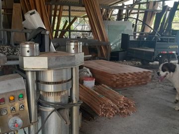 place photo 28