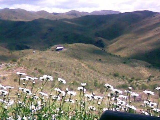 place photo 26