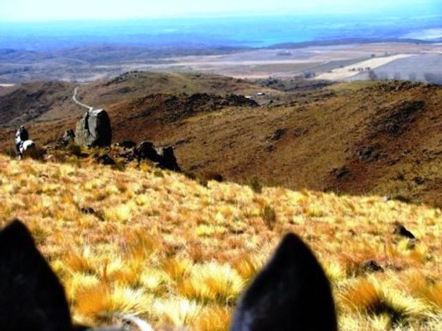 place photo 30