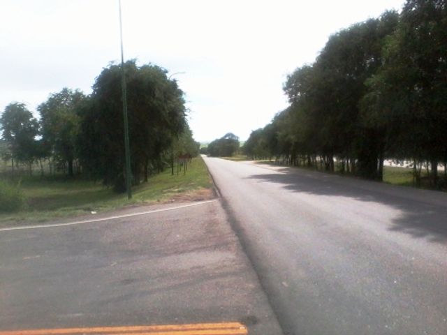 place photo 8
