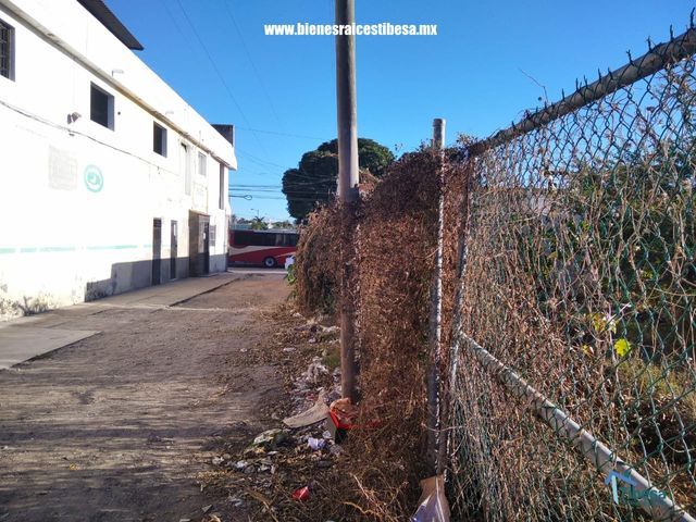 place photo 11