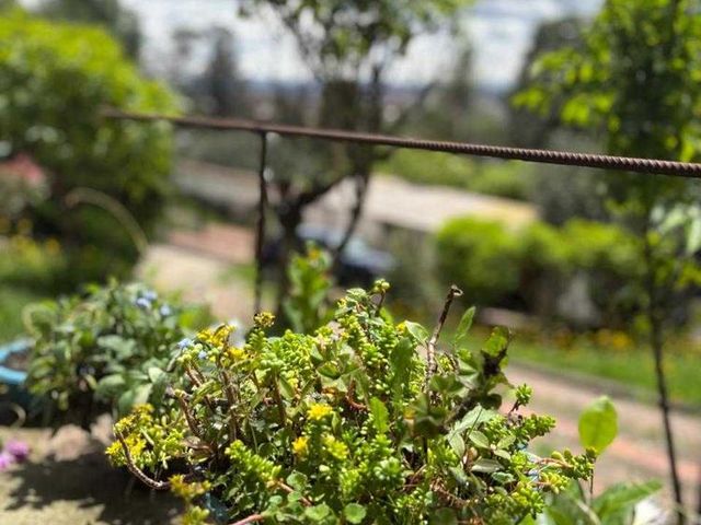 place photo 43