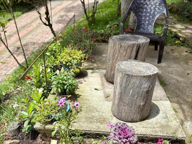 place photo 50