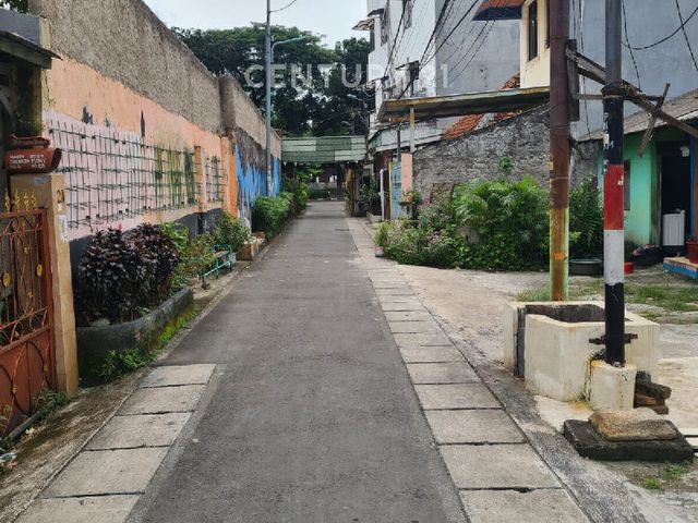 place photo 9