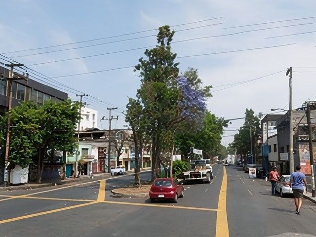 place photo 15
