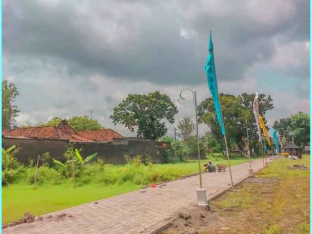 place photo 5