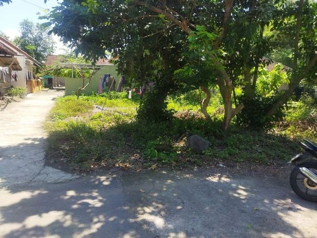 place photo 7