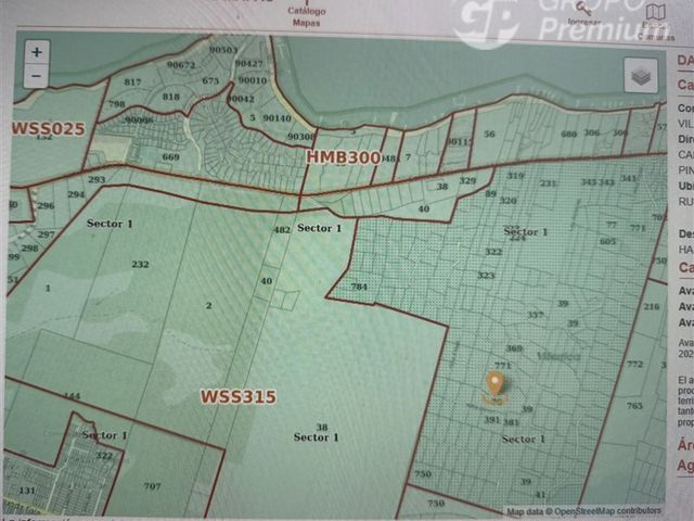 place photo 23