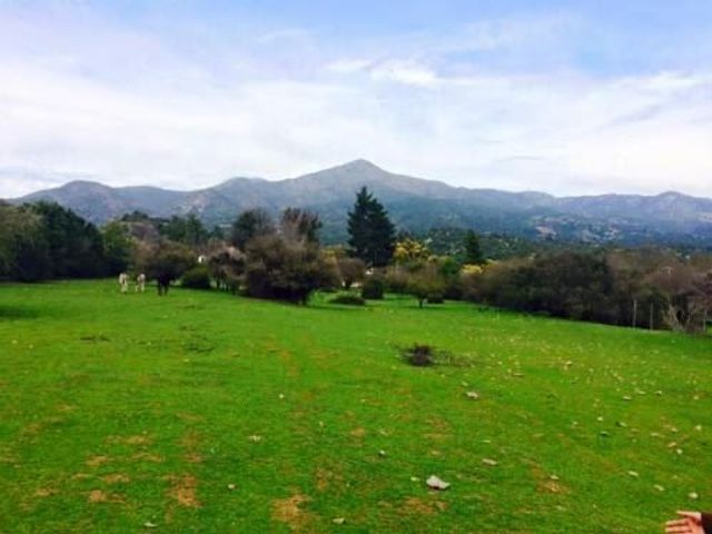 place photo 62