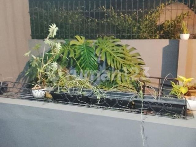 place photo 16