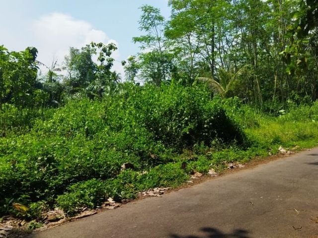 place photo 4