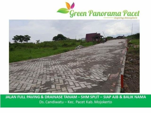 place photo 5