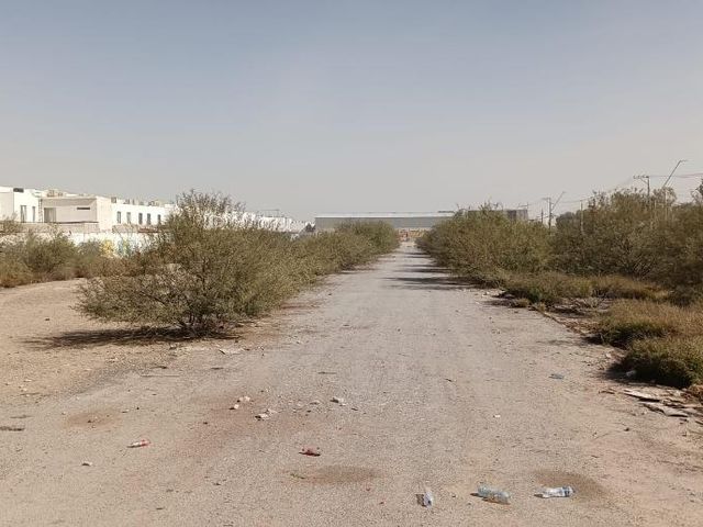 place photo 7
