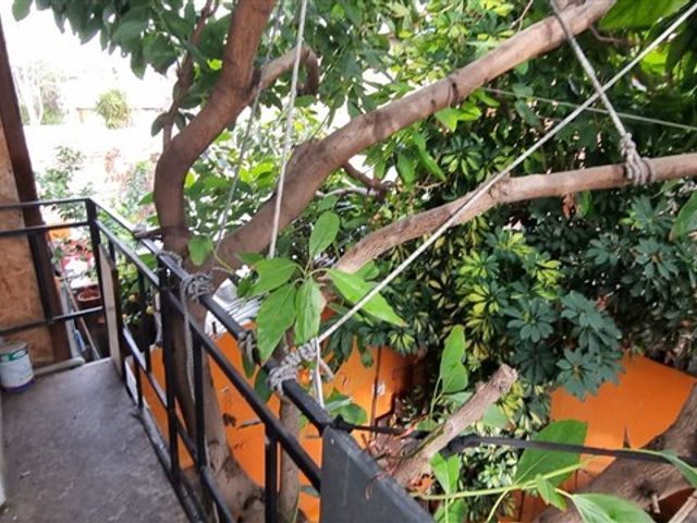 place photo 13