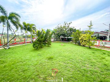 place photo 59