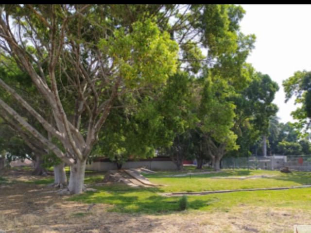 place photo 7