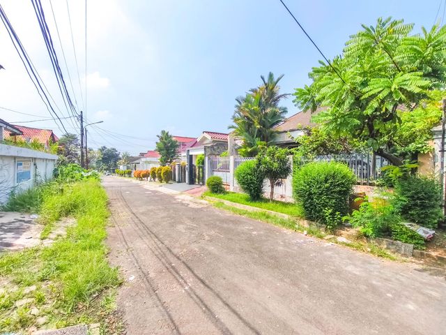 place photo 40