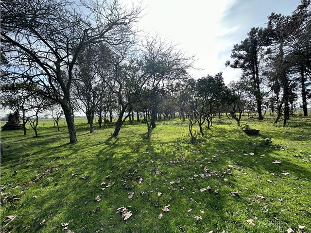 place photo 26