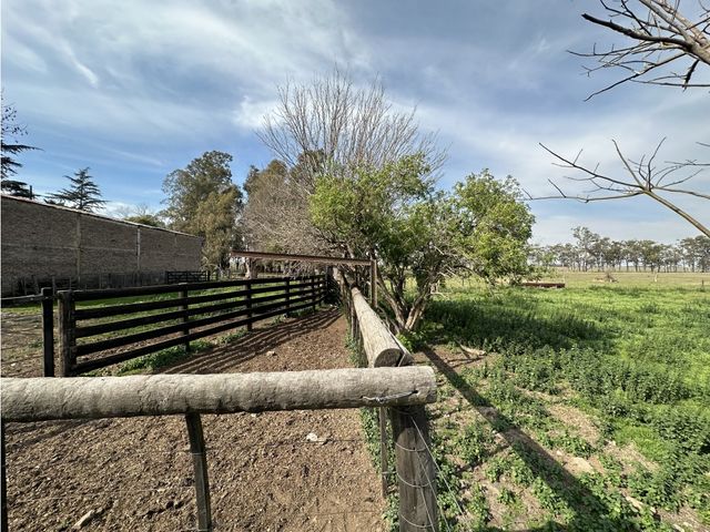 place photo 16