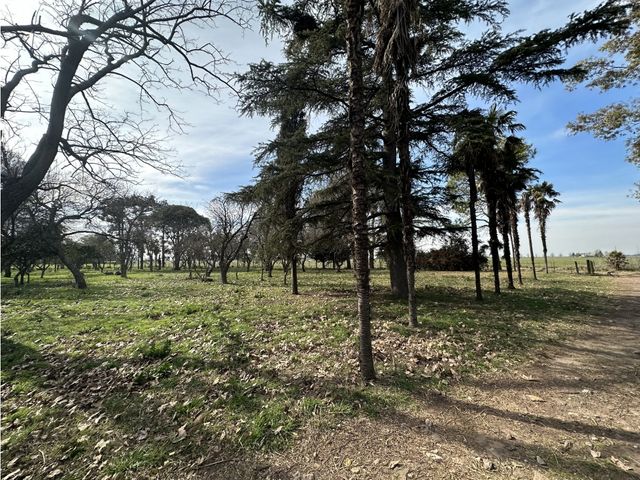 place photo 23
