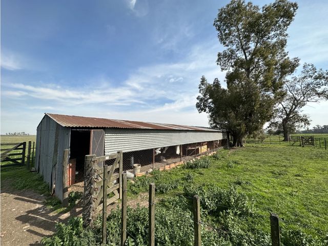 place photo 10