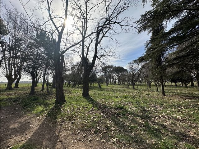 place photo 21