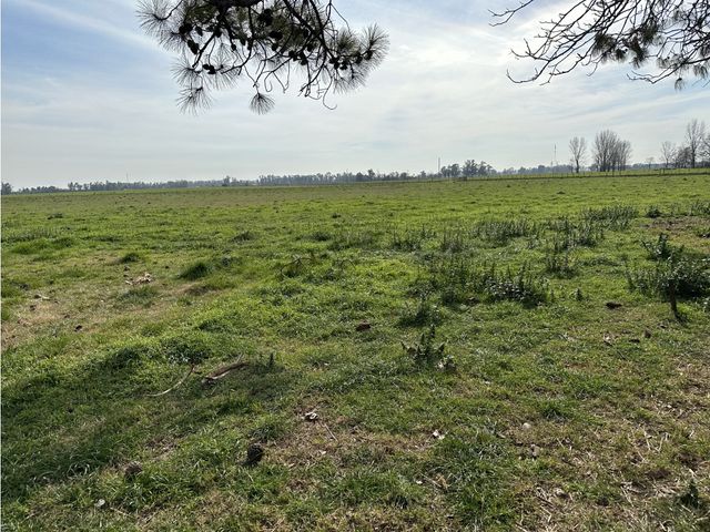 place photo 30