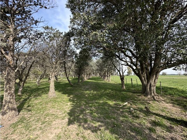 place photo 24