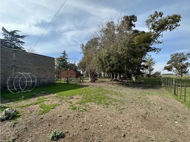 place photo 17