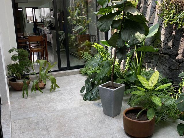 place photo 40