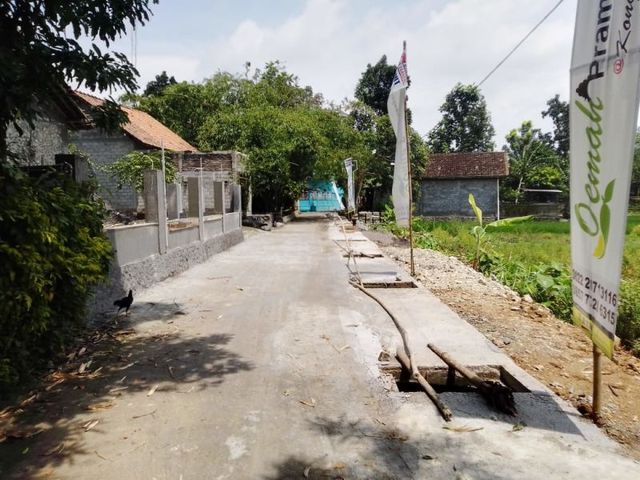 place photo 3
