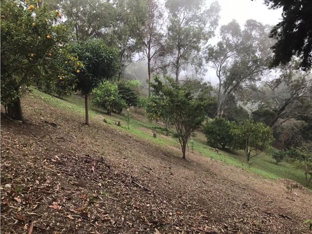 place photo 38