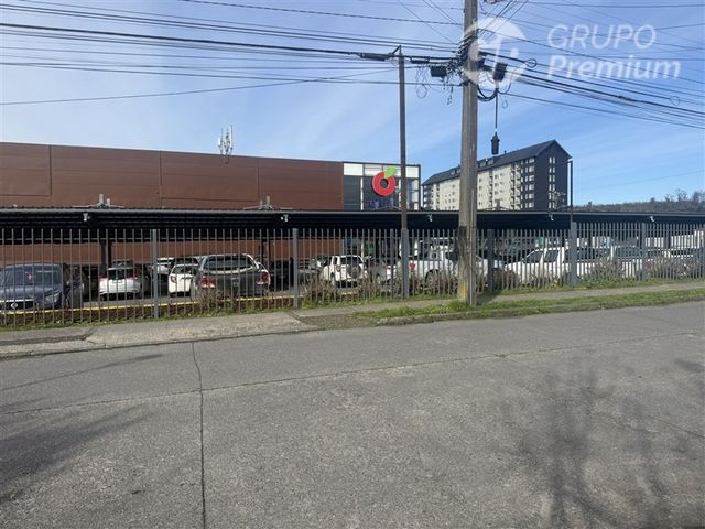 place photo 24