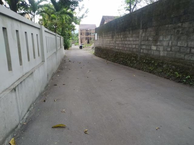 place photo 5