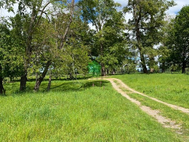 place photo 62