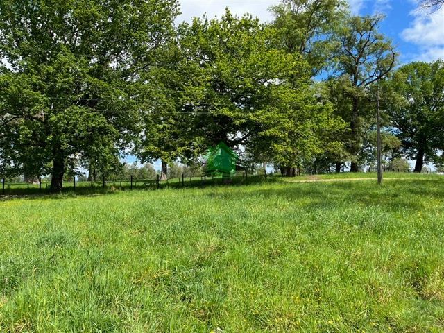 place photo 61