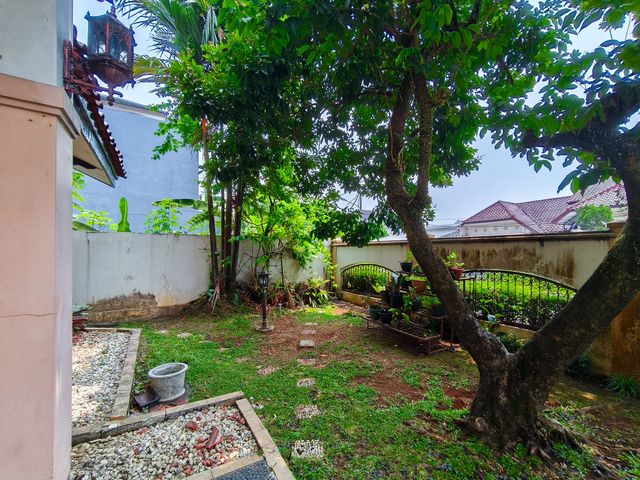 place photo 60