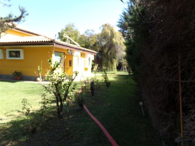 place photo 57