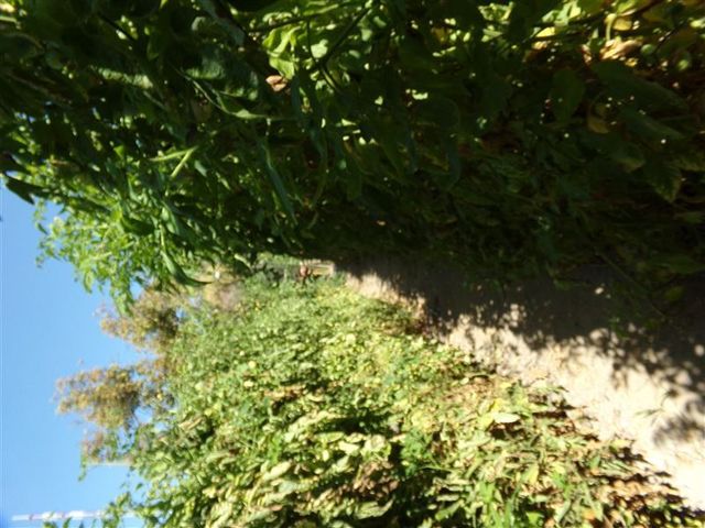 place photo 58