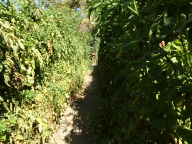 place photo 39
