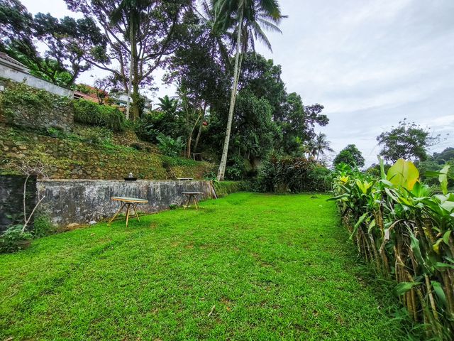 place photo 54