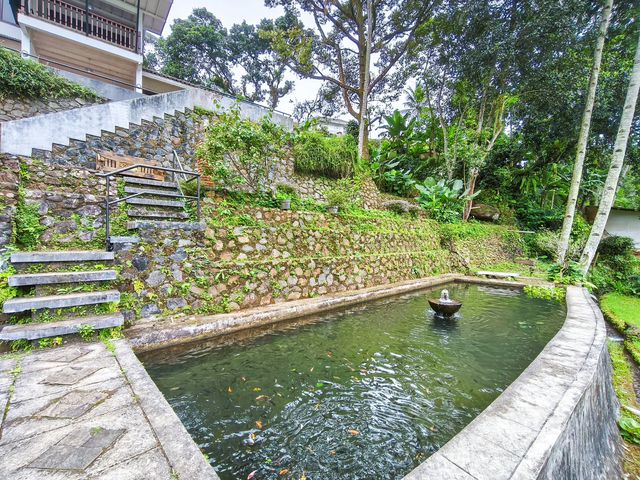 place photo 51