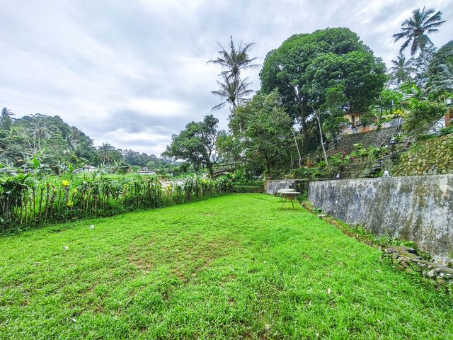 place photo 56