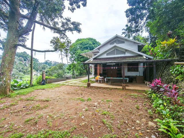 place photo 61