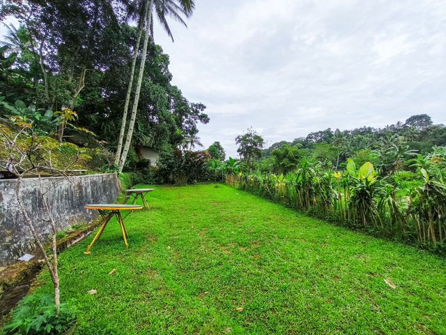 place photo 53